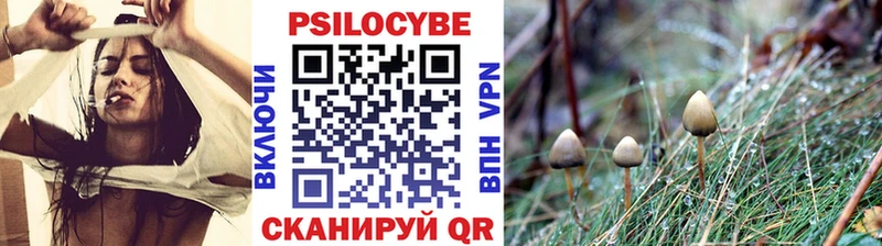 купить   OMG как зайти  Галлюциногенные грибы прущие грибы  Ростов 